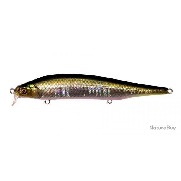 ITO SHINER SSR GG TENNESSE SHAD