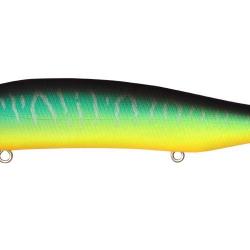 ITO SHINER SSR - MAT TIGER