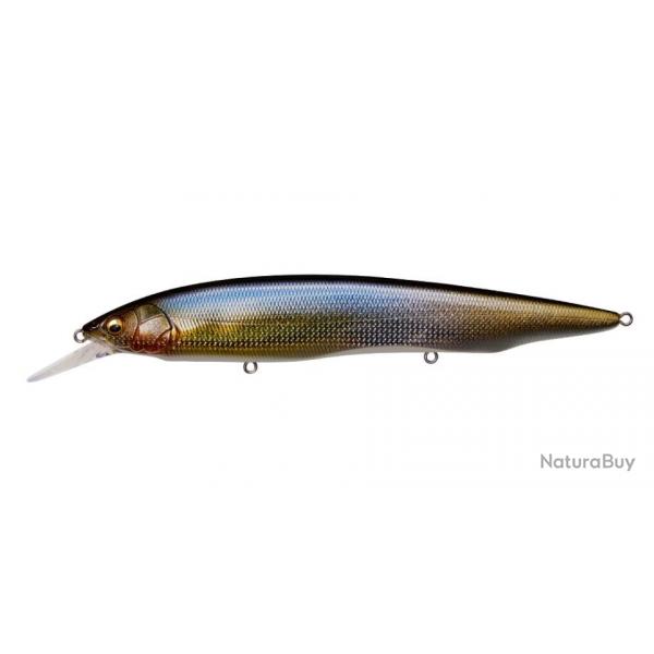 KANATA +1 - DD SILVER SHAD