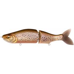 I SLIDE 187 R INTERMEDIATE FA BROWN TROUT (SP C)