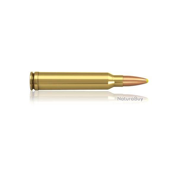 Munitions norma 300win 180gr plastic point 300 Win. Mag