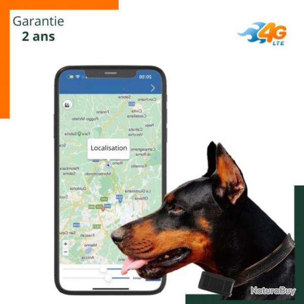 Collier GPS 4G pour chien - Localisation GPS - Etanche -  Noir - Livraison rapide - Garantie 2 ans