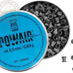 POWAIR - Plombs plats 5,5mm - 2 x 250