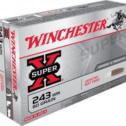 Munitions Winchester 243 power point 80gr 243