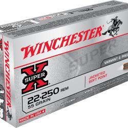 Munitions Winchester 22-250 55g psp 22-250