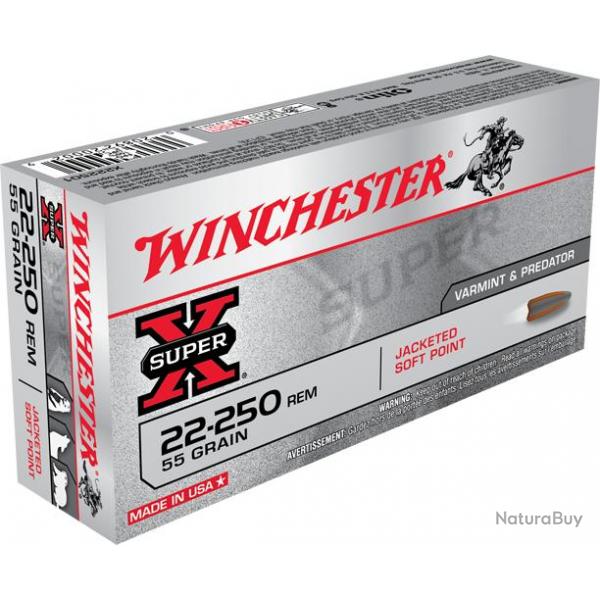 Munitions Winchester 22-250 55g psp 22-250