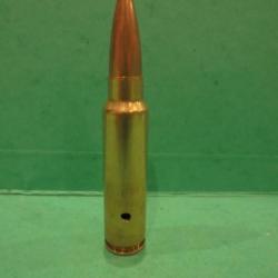 UNE  cartouche cal. 300 SAVAGE NEUTRALISEE