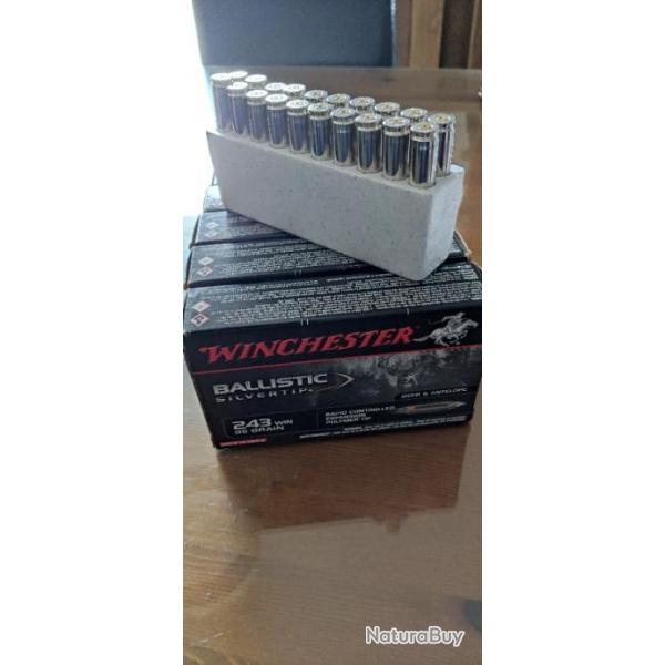 Vds 100 tuis nickels Winchester en 243 W