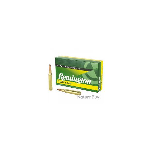 25-06 Remington soft PT Core-Lokt 100grs