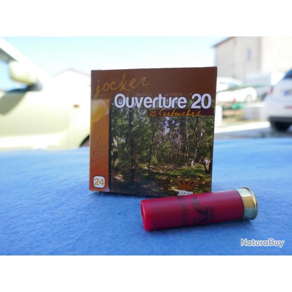 25 cartouches calibre 24/65 OUVERTURE 20 BG no6