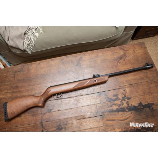 Gamo Hunter 440 AS