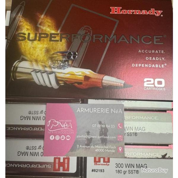 BALLES HORNADY 300 WIN. MAGNUM SUPERFORMANCE SST 82193