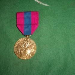 medaille defense nationnal bronze (n°1)