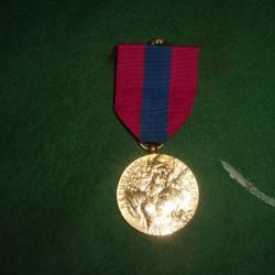 medaille defense nationnal bronze (n°2)