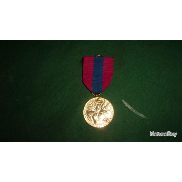 medaille defense nationnal bronze (n2)