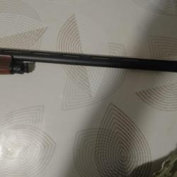 Vends fusil semi automatique