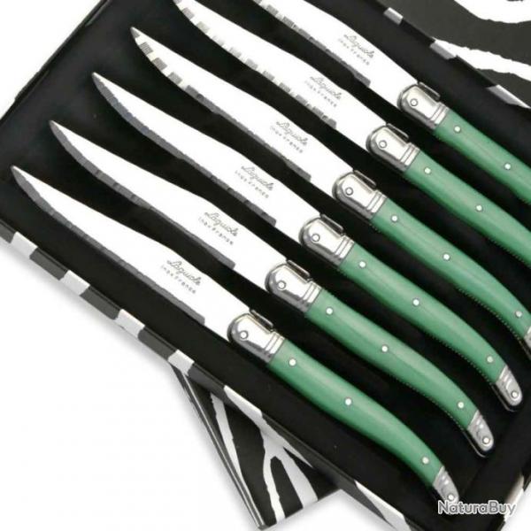 Coffret de 6 Couteaux  steak Laguiole ABS de couleur verte