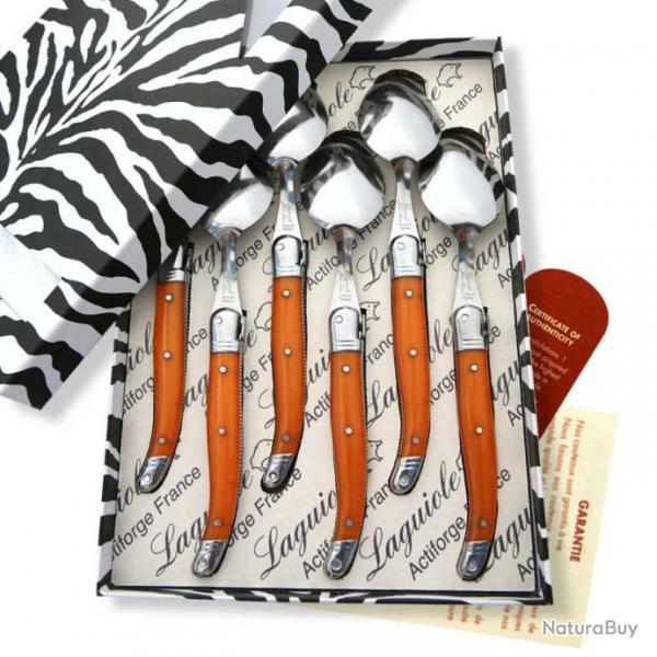 Coffret de 6 cuillres  soupe Laguiole ABS de couleur orange