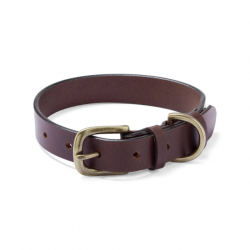 Collier Le Chameau pour chien - L