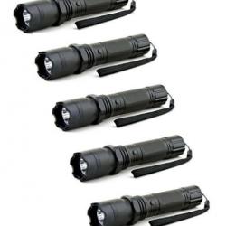 Lot de 5 Shocker lampe Praga Beta 2 - 2 400 000 V - Braderie Automne