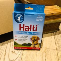 Harnais anti-traction pour chien