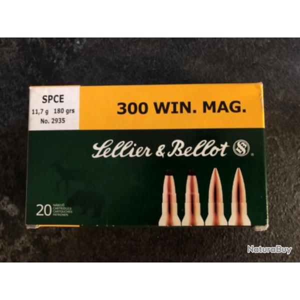 BALLES 300 WM SELLIER  BELLOT 11,7 g 180 grs SCPE