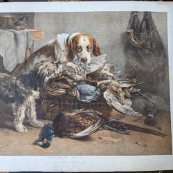 Lithographie Didier rare chiens de chasse gibier d'après tableau de Noterman la gourmandise