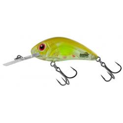 Poisson Nageur Salmo Rattlin Hornet Flottant 4,5cm 4,5cm CLEAR AYU