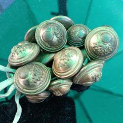 Lot de 18 boutons grenade doré