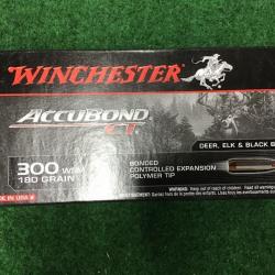 300 WSM Winchester accubond CT 180g