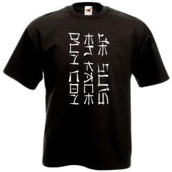 T-SHIRT - Je suis en face d'un con -  écriture Chinoise Japonnaise Kanji -  Humour Idée cadeau noël