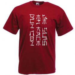 T-SHIRT - JE SUIS EN FACE D'UN CON - écriture Chinoise ou Japonnaise  Kanji  Idée cadeau noël Humour