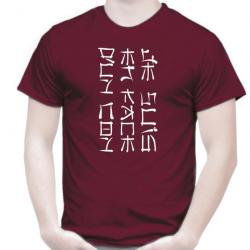 T-SHIRT - JE SUIS EN FACE D'UN CON - Humour Asie écriture Chinoise Japonnaise Kanji Idée cadeau noël