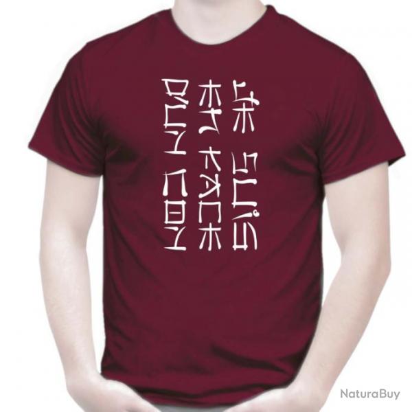 T-SHIRT - JE SUIS EN FACE D'UN CON - Humour Asie criture Chinoise Japonnaise Kanji Ide cadeau nol