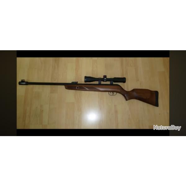 Carabine Gamo Hunter 440 AS + lunette 3-9X40 wr (20 joules)