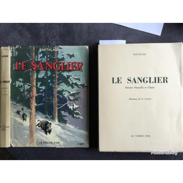 LE SANGLIER - K.SNETHLAGE - 1954 - CHASSE