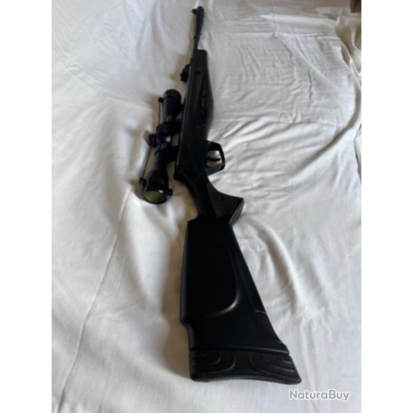 Carabine a plomb Stoeger Airguns RX20