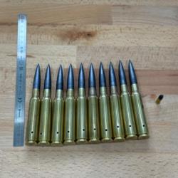 Munition 408 cheytac ogive Moly collection inerte x10 pieces