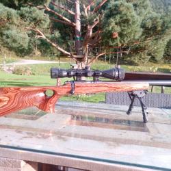 Carabine CZ 455 Thumbhole 17 HMR + lunette Nikko-stirling + bipied + munitions