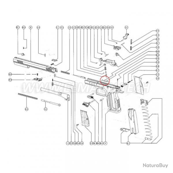 Tanfoglio Slide Stop Spring