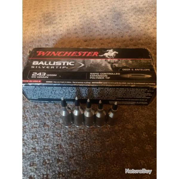 Munitions balles 243 wssm winchester ballistic silvertip 95 grains.