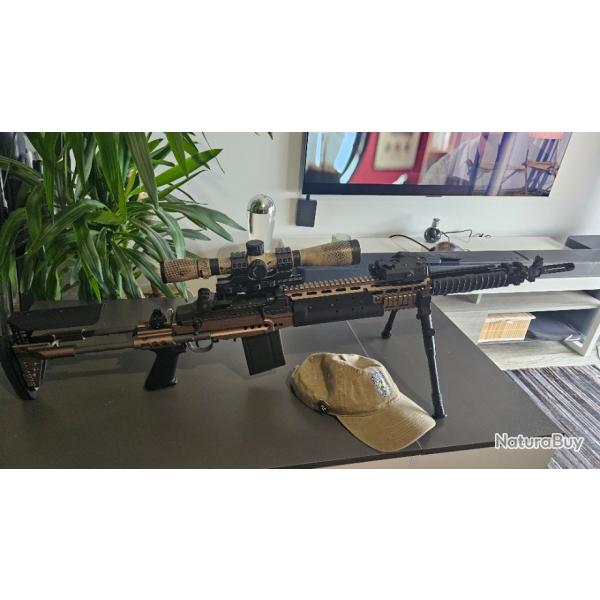 RA TECH M14 EBR GBBR WE + 4 Chargeurs + accessoires