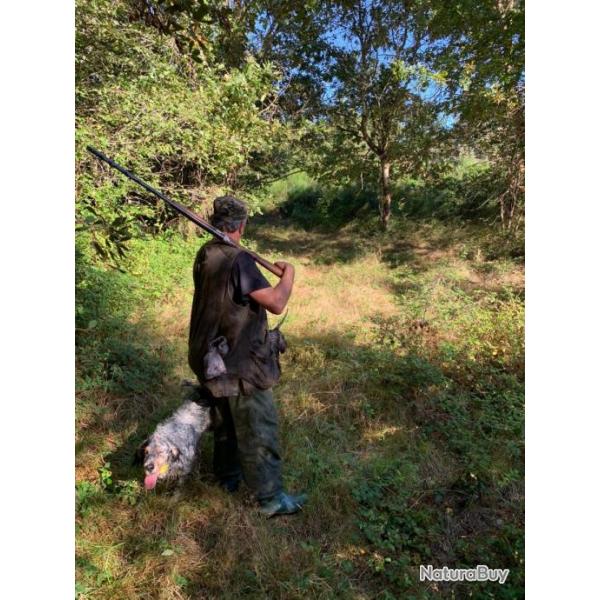 SEJOUR  CHASSE  la Bcasse dans les Landes 2 jours 2 nuits avec hbergement sur place