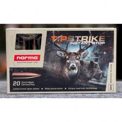 lot de 40 munitions NORMA cal 30 06 TIPSTRIKE 11gr  170gr