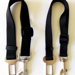 Laisse ceinture auto Noir 20 mm