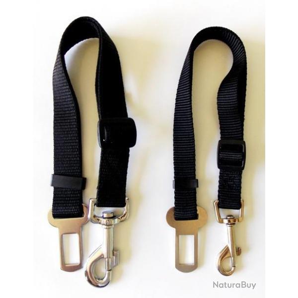 Laisse ceinture auto Noir 20 mm