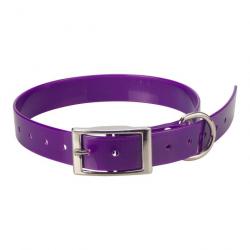 sangle de rechange sportdog 25 mm violet