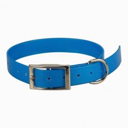 sangle de rechange sportdog 25 mm bleu clair