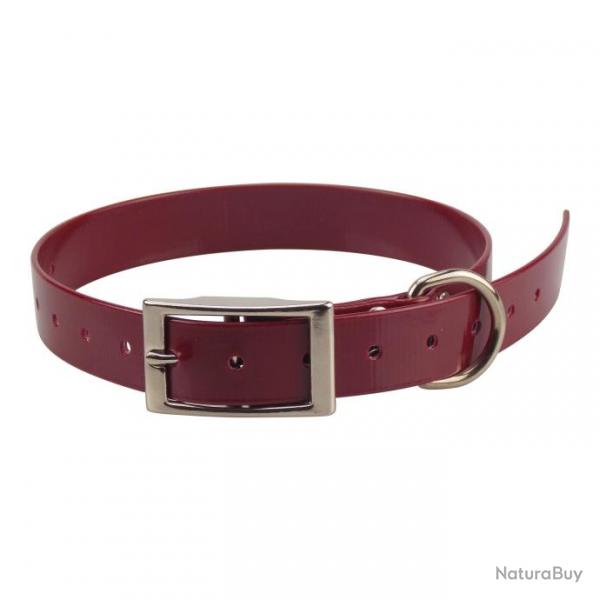 sangle de rechange sportdog 25 mm bordeaux