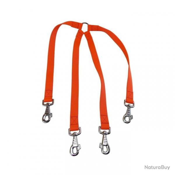 accouple 4 chiens nylon orange jokidog